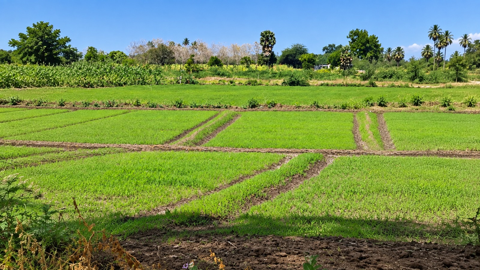 Agritech workspace